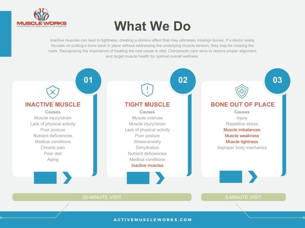 What We Do infographic What We Do infographic