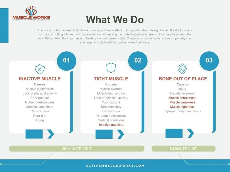 What We Do — Muscle Works's process for identifying inactive muscles, tight muscles, and bones out of place